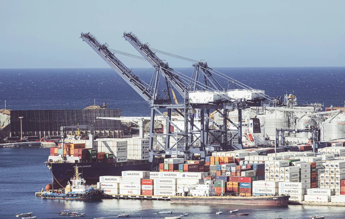 Supplier comparison context for checking material scope, duty exposure and import-file evidence.